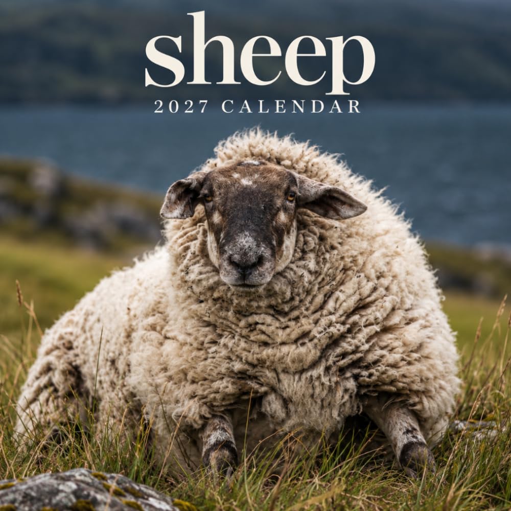 Sheep Calendar 2027: Farm Animal Photography baixar o livro de graça