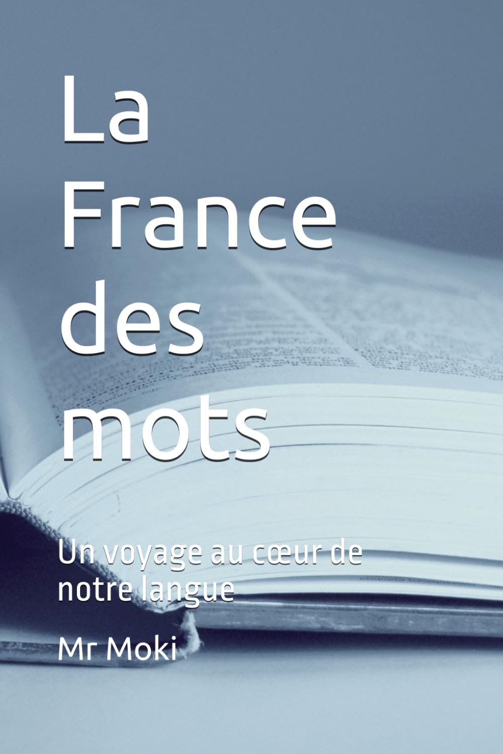 capítulo por capítulo baixar La France des mots: Un voyage au cœur de notre langue (French Edition)