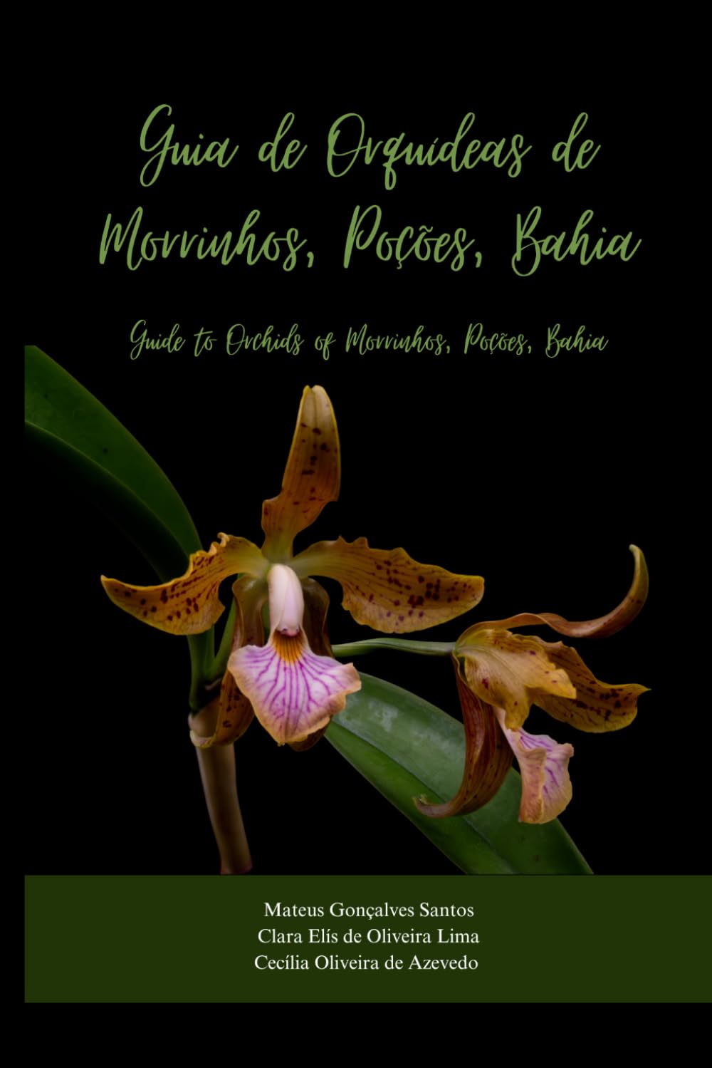 Guia de Orquídeas de Morrinhos, Poções, Bahia: Guia ilustrado. Edição bilíngue, português-inglês (Portuguese Edition) baixar livro de graça