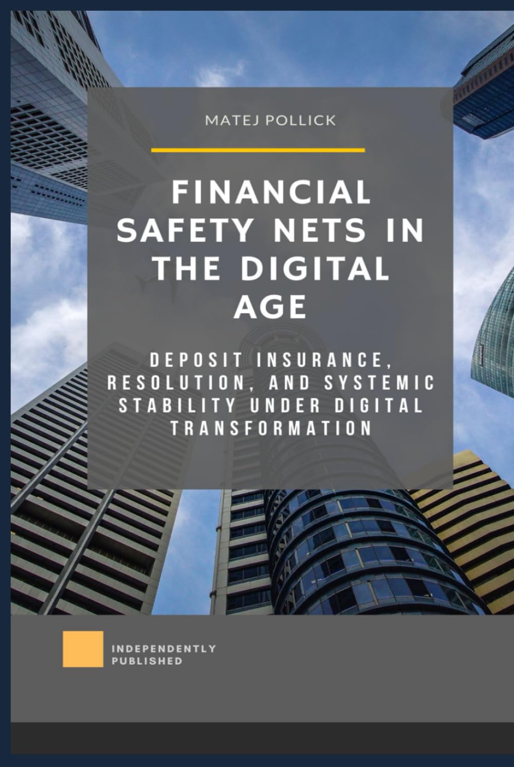 Financial Safety Nets in the Digital Age: Deposit Insurance, Resolution, and Systemic Stability under Digital Transformation baixar livro de graça