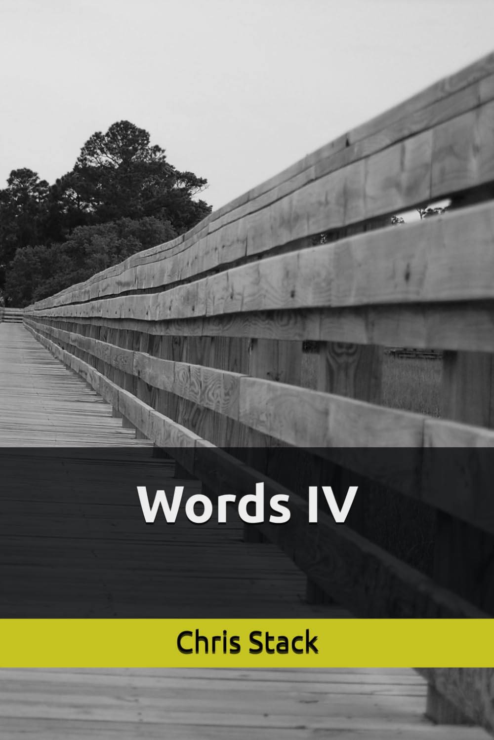 Words IV baixar o livro de graça