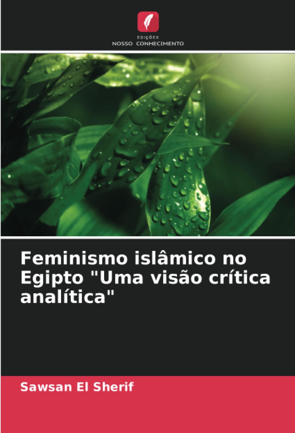 ler totalmente Feminismo islâmico no Egipto "Uma visão crítica analítica"