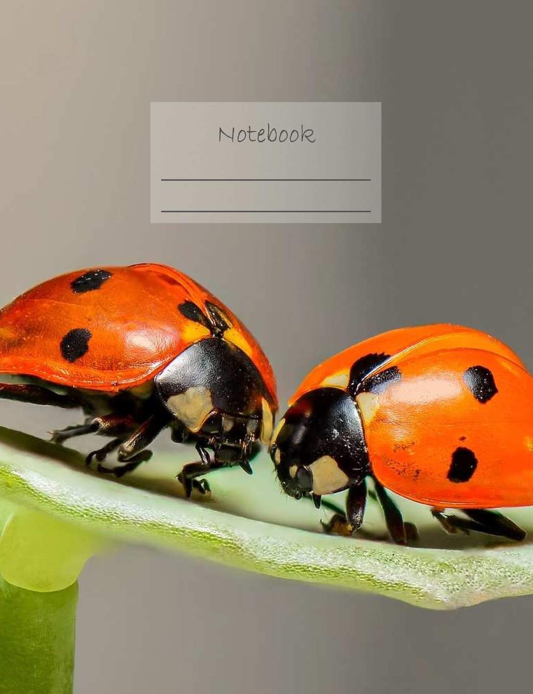 ler totalmente Notebook: Composition Notebook. College Ruled with Soft Matte Cover. 120 Pages. Perfect for School Notes, Ideal as a Journal or a Diary. 9.69 X 7.44. Great Gift Idea. (Ladybugs Cover).