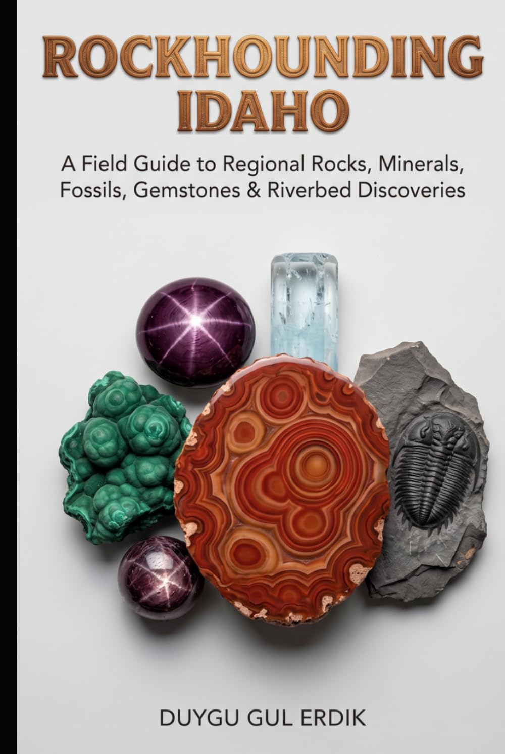 ROCKHOUNDING IDAHO: A Field Guide to Regional Rocks, Minerals, Fossils, Gemstones & Coastal Discoveries (The Regional Rockhounding & Mineral Discovery Series) baixar o livro de graça