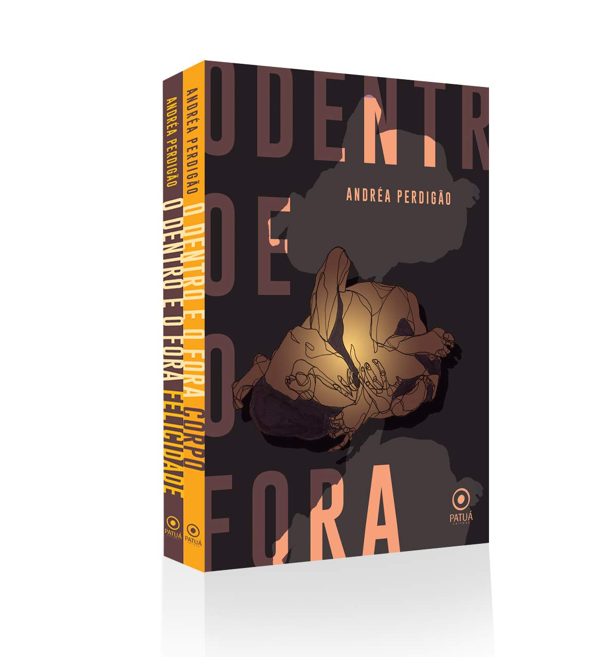 O dentro e o fora - conversas sobre Corpo e Felicidade baixar livro de graça