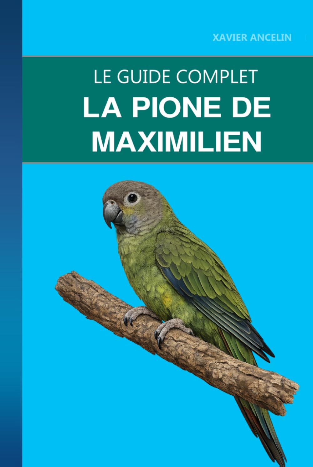 La Pione de Maximilien: Robuste, discrète et attachée pour trente ans: soins, santé et éducation d'une pione méconnue (French Edition) baixar o livro de graça
