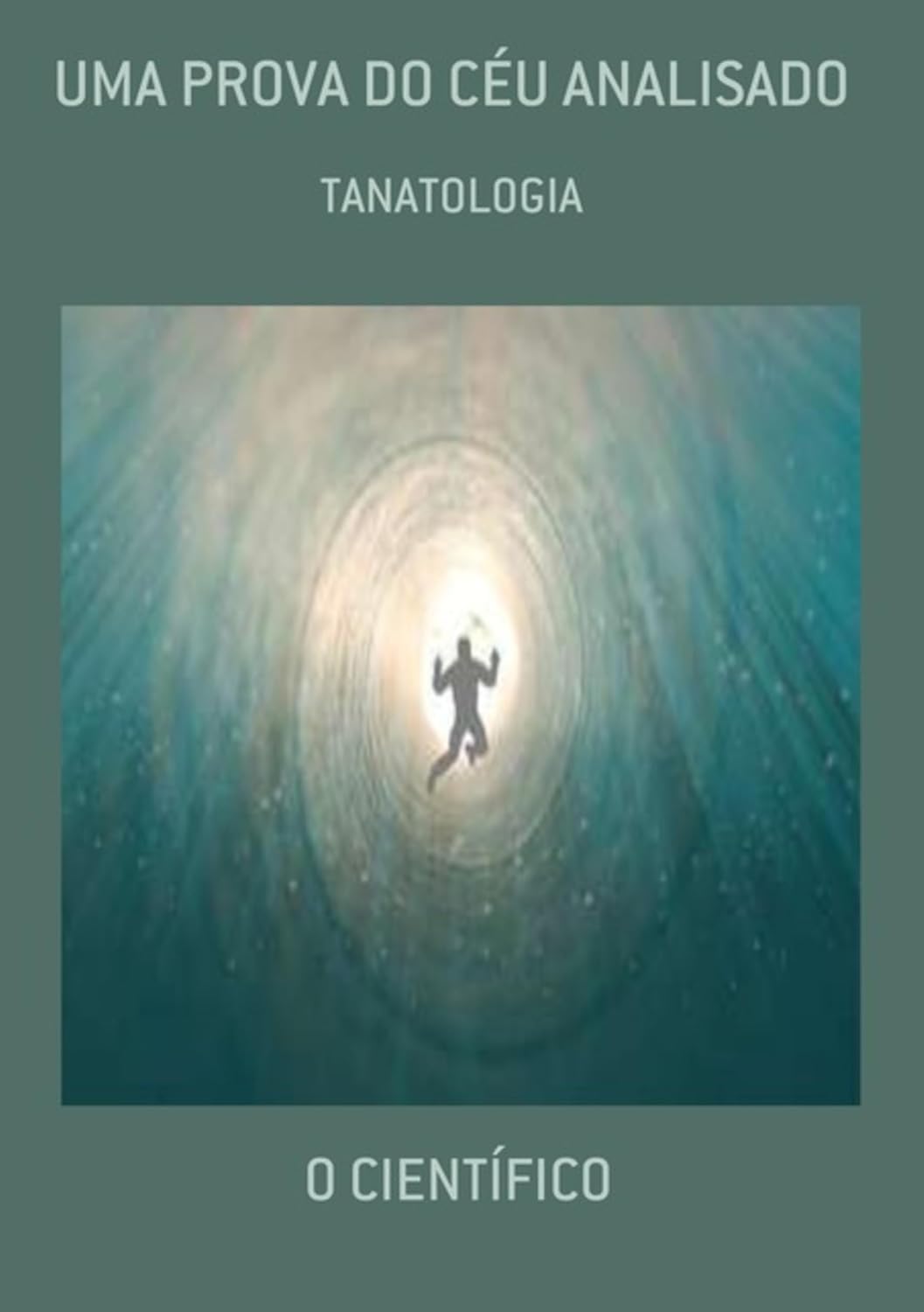 Uma Prova Do Céu Analisado baixar o livro de graça