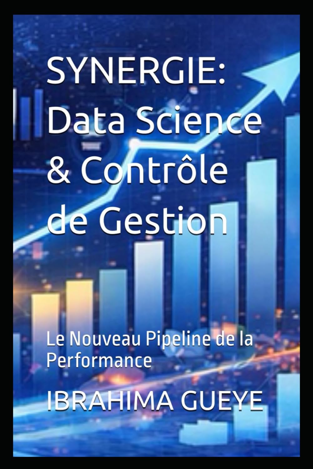 DATA SCIENCE ET CONTRÔLE DE GESTION: Le nouveau pipeline de la performance (French Edition) baixar o livro de graça