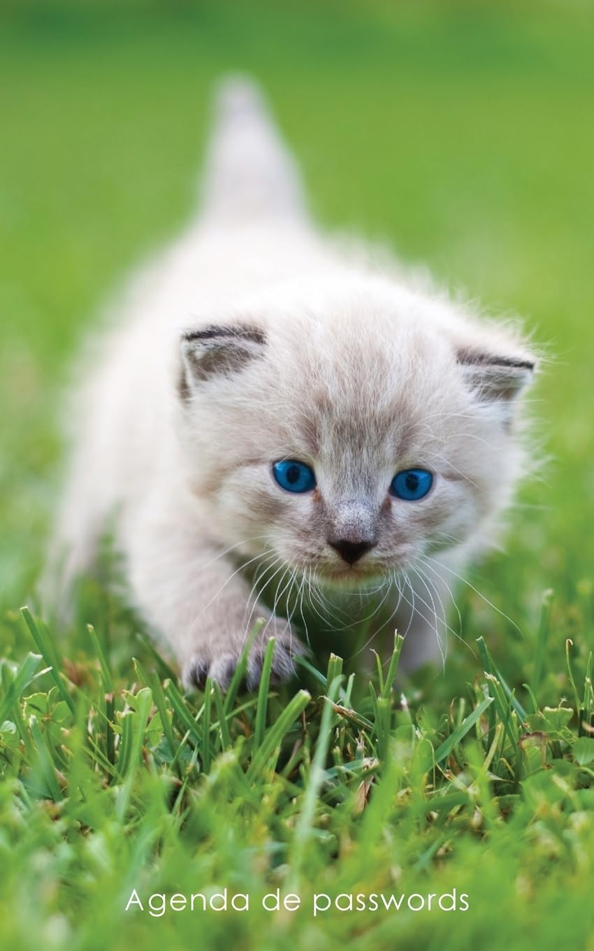 Agenda de passwords: Agenda para endereços electrónicos e passwords - Capa gatinho de olhos azuis: 7 baixar livro de graça