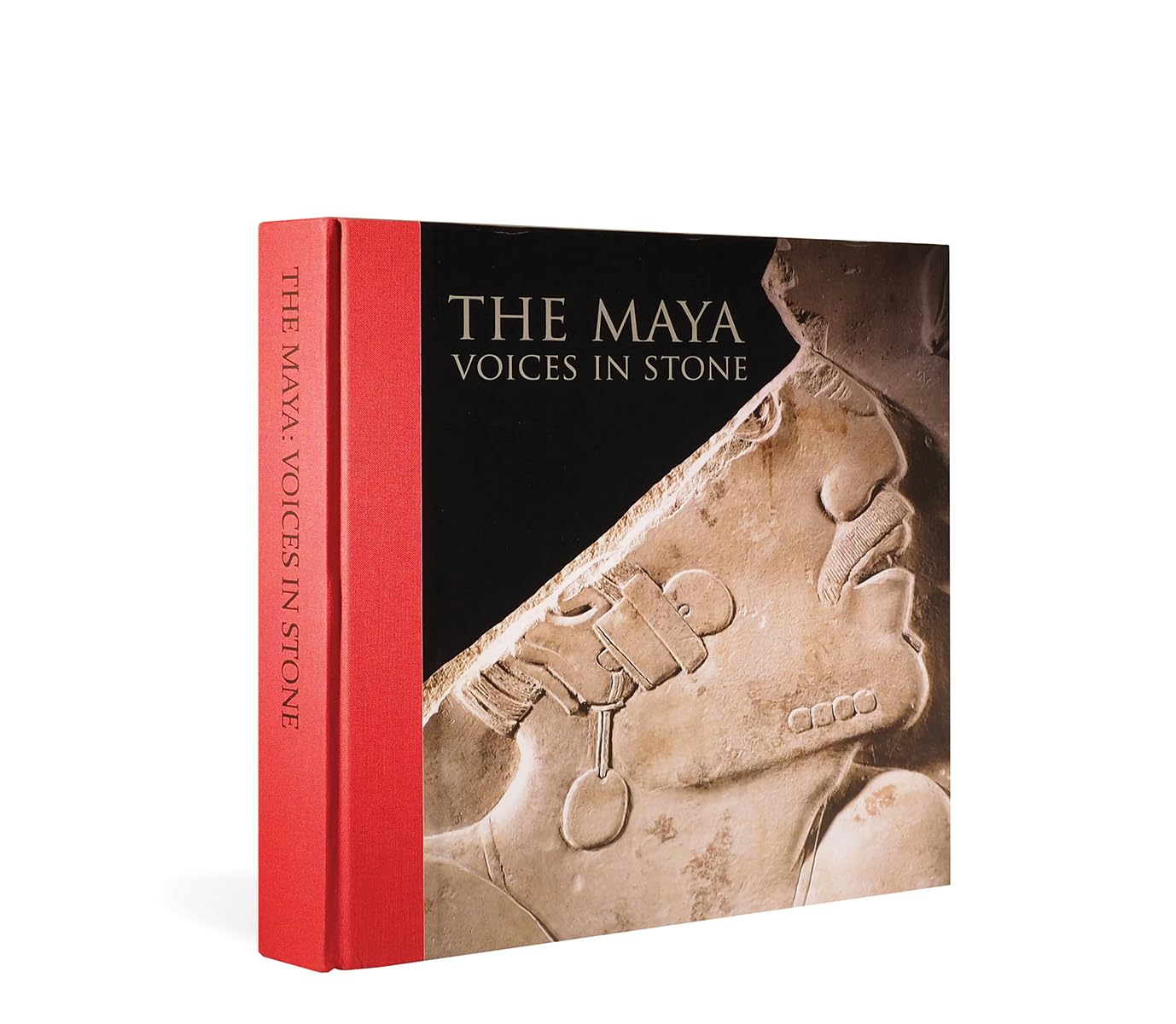 ler totalmente The Maya: Voices in Stone