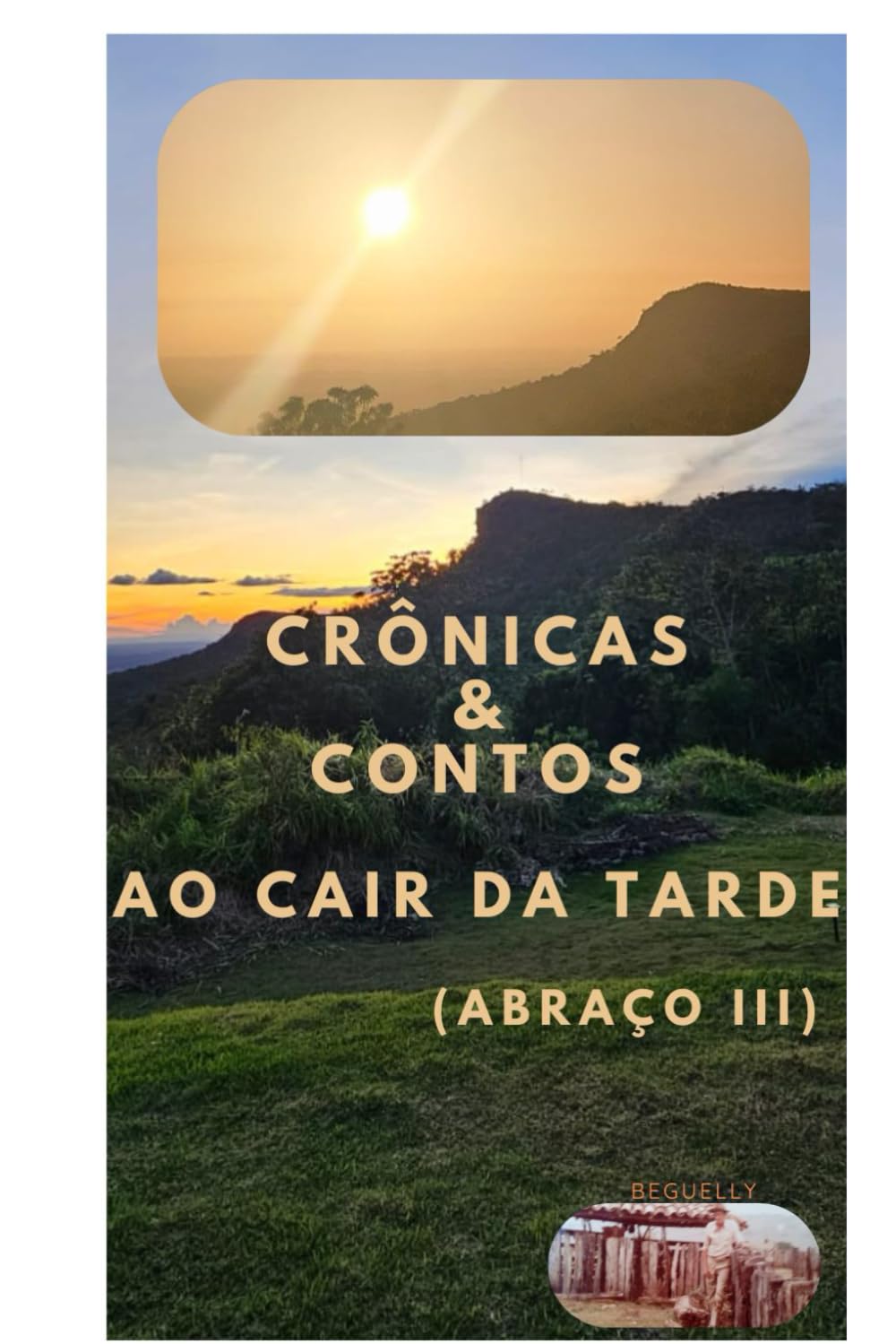 ler totalmente Crônicas & Contos ao cair da tarde: (ABRAÇO III) (Portuguese Edition)