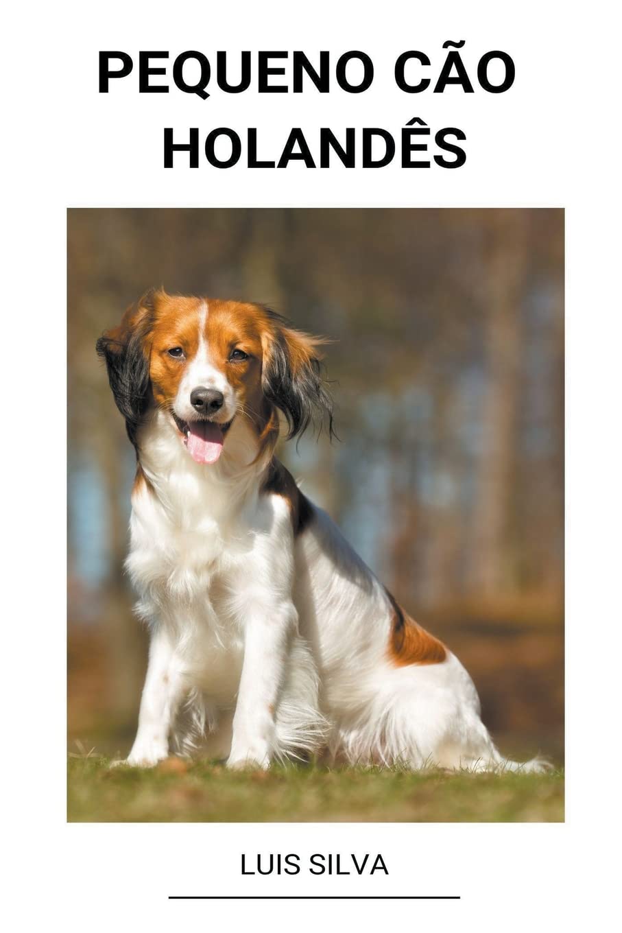 Pequeno cão Holandês baixar livro de graça
