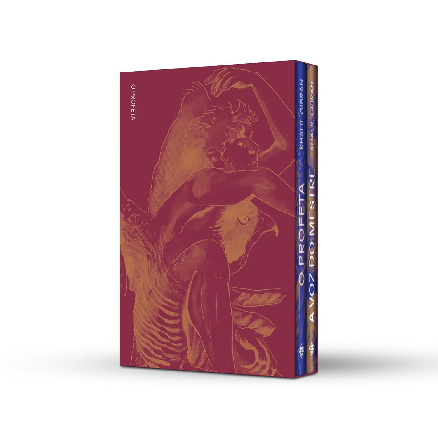 Box Essencial Gibran baixar livro de graça