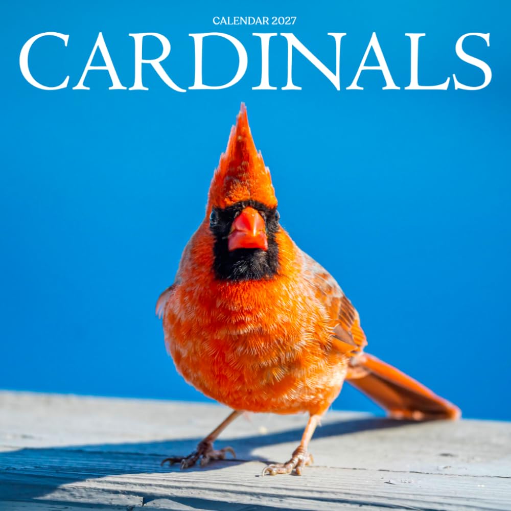 Cardinals Calendar 2027: Bird Portraits and Natural Scenes