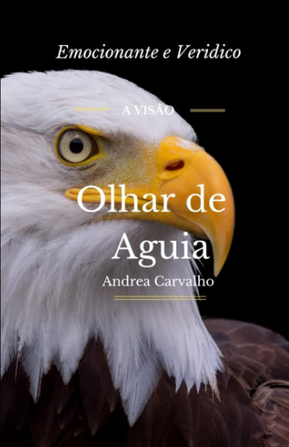 ler totalmente A Visão De Aguia: A demissão que inspirou a alçar novos voos do ZERO ao HUM MILHÃO