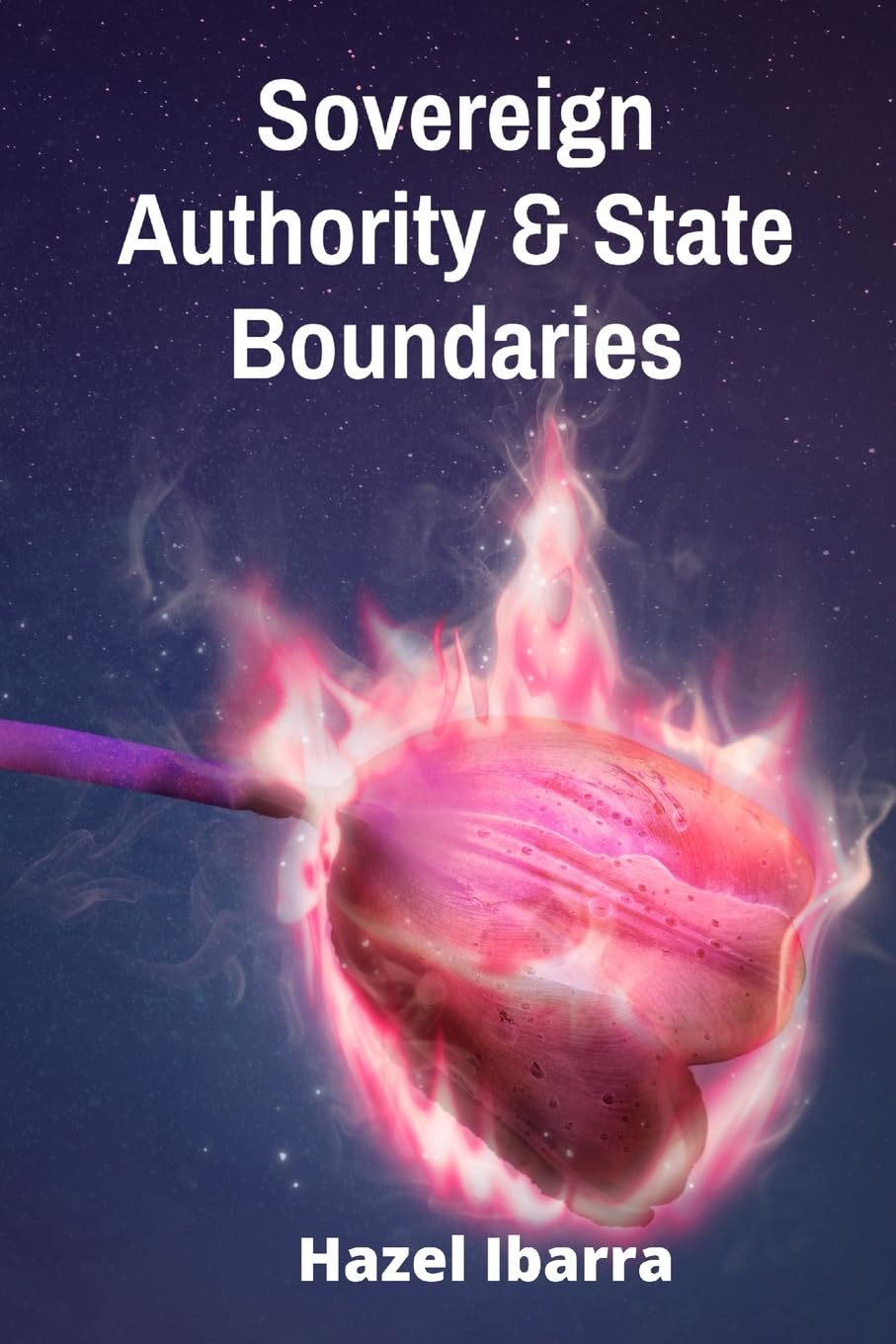 capítulo por capítulo baixar Sovereign Authority & State Boundaries: A Treatise on the Limits of Jurisdiction in Public International Law