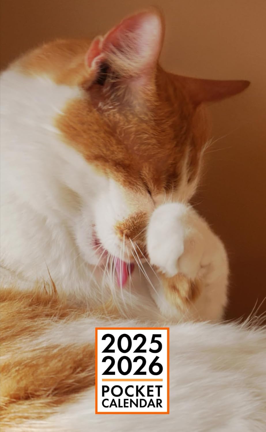 ler totalmente Pocket Calendar 2025-2026 for Purse - Hektor Cat v3 | 2 Year Pocket Planner January 2025 - December 2026 | Small Pocket Size 4 x 6.5 | Sketches of Cats in the Middle