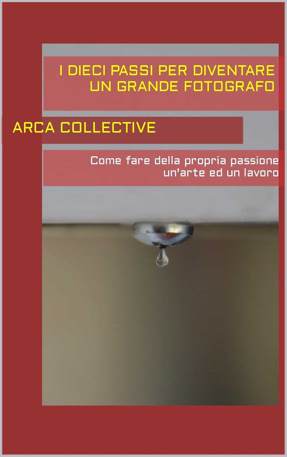 ler totalmente I Dieci passi per diventare un grande fotografo: Come fare della propria passione un'arte ed un lavoro (I Dieci Passi Per...) (Italian Edition)