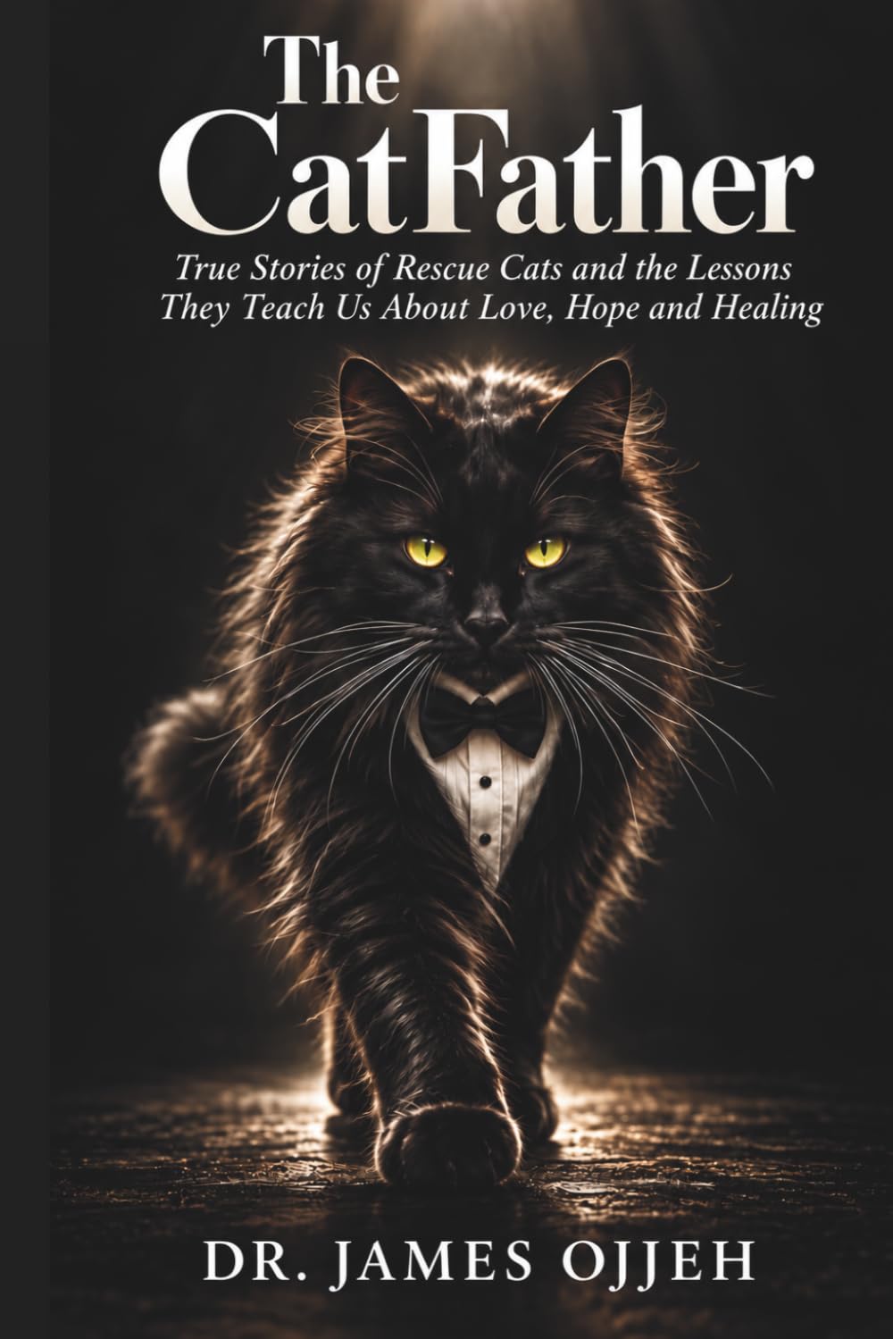 The CatFather: True Stories of Rescue Cats and the Lessons They Teach Us About Love, Hope and Healing baixar o livro de graça