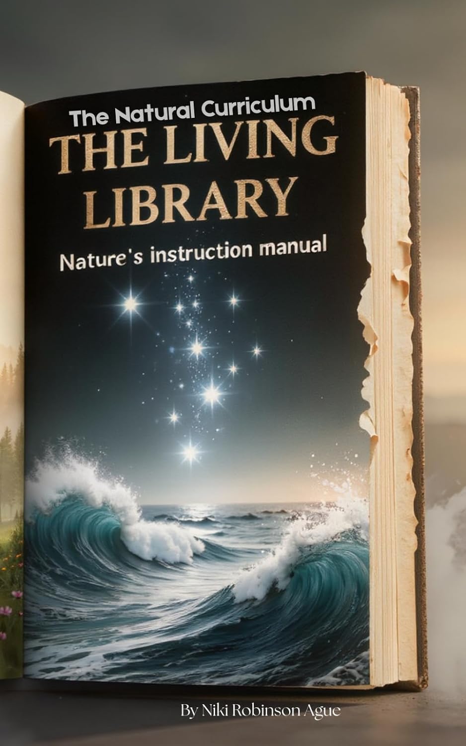 The Natural Curriculum: Lessons from Nature baixar livro de graça