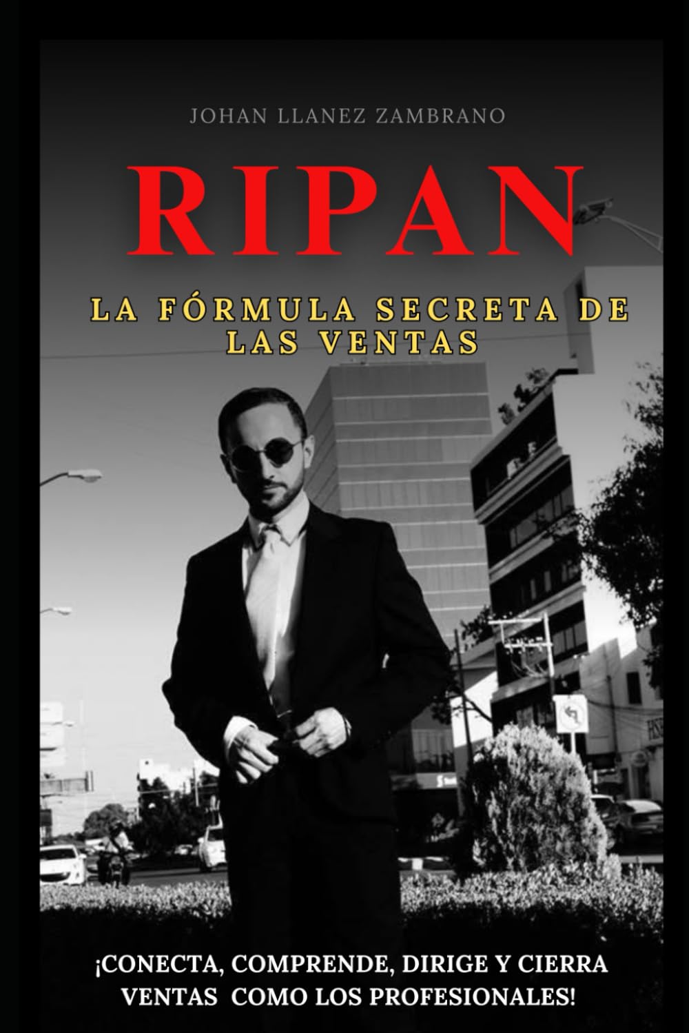 RIPAN La fórmula secreta de las ventas (Spanish Edition) baixar o livro de graça