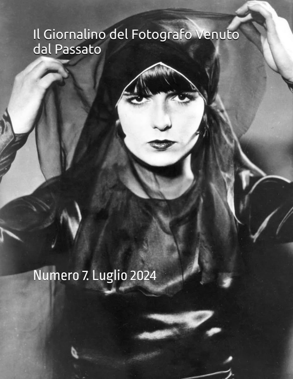 capítulo por capítulo baixar Il Giornalino del Fotografo Venuto dal Passato: Numero 7. Luglio 2024 (Italian Edition)