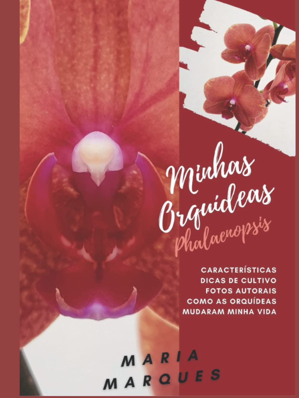 Minhas Orquídeas: Phalaenopsis (Portuguese Edition) baixar livro de graça
