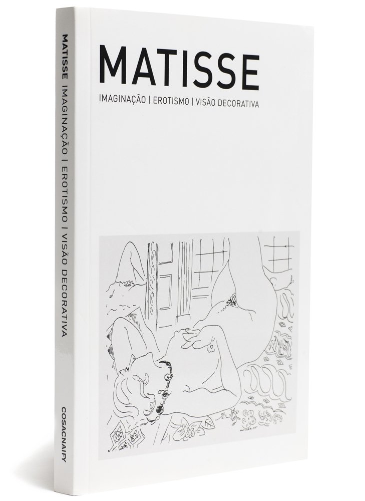 Matisse. Imaginação, Erotismo E Visão Decorativa baixar livro de graça