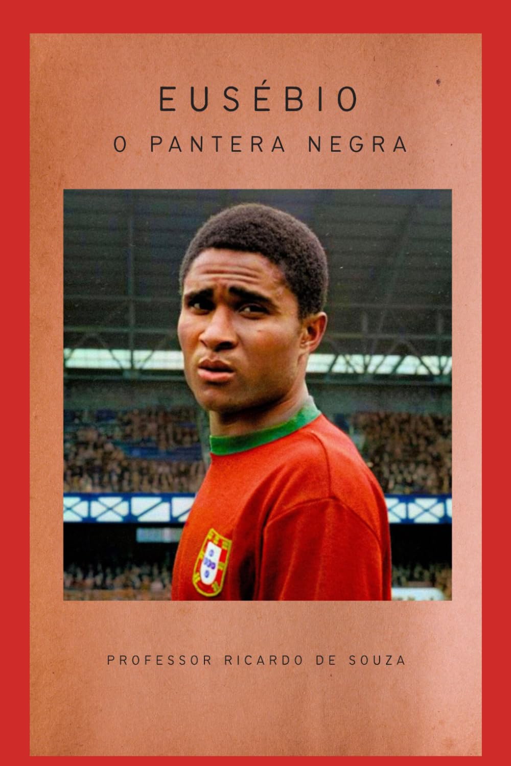 Eusébio: O Pantera Negra (Portuguese Edition) baixar livro de graça