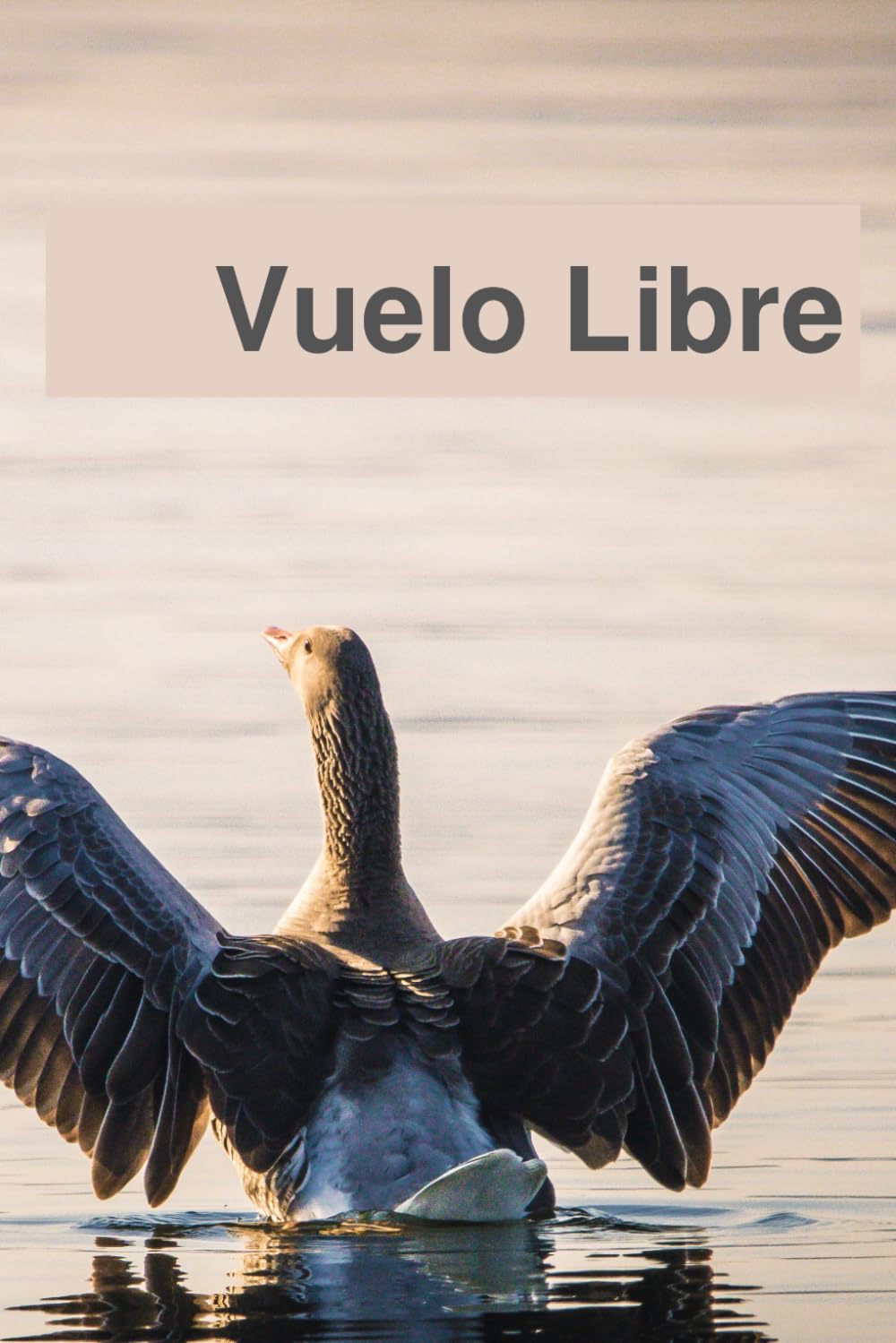 Cuaderno de Notas A5 | Vuelo Libre | Libreta Rayada 100 Páginas para Estudiantes y Creativos: Notebook Tapa Blanda | Regalo Original para Amantes de... con Diseños Originales.) (Spanish Edition) baixar o livro de graça