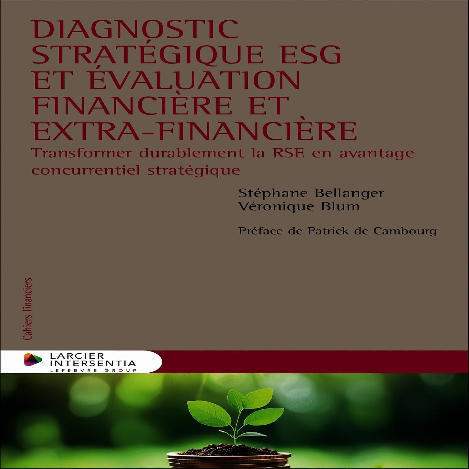 Diagnostic stratégique ESG et évaluation financière et extra-financière: Transformer durablement la RSE en avantage concurrentiel stratégique (French Edition) baixar o livro de graça