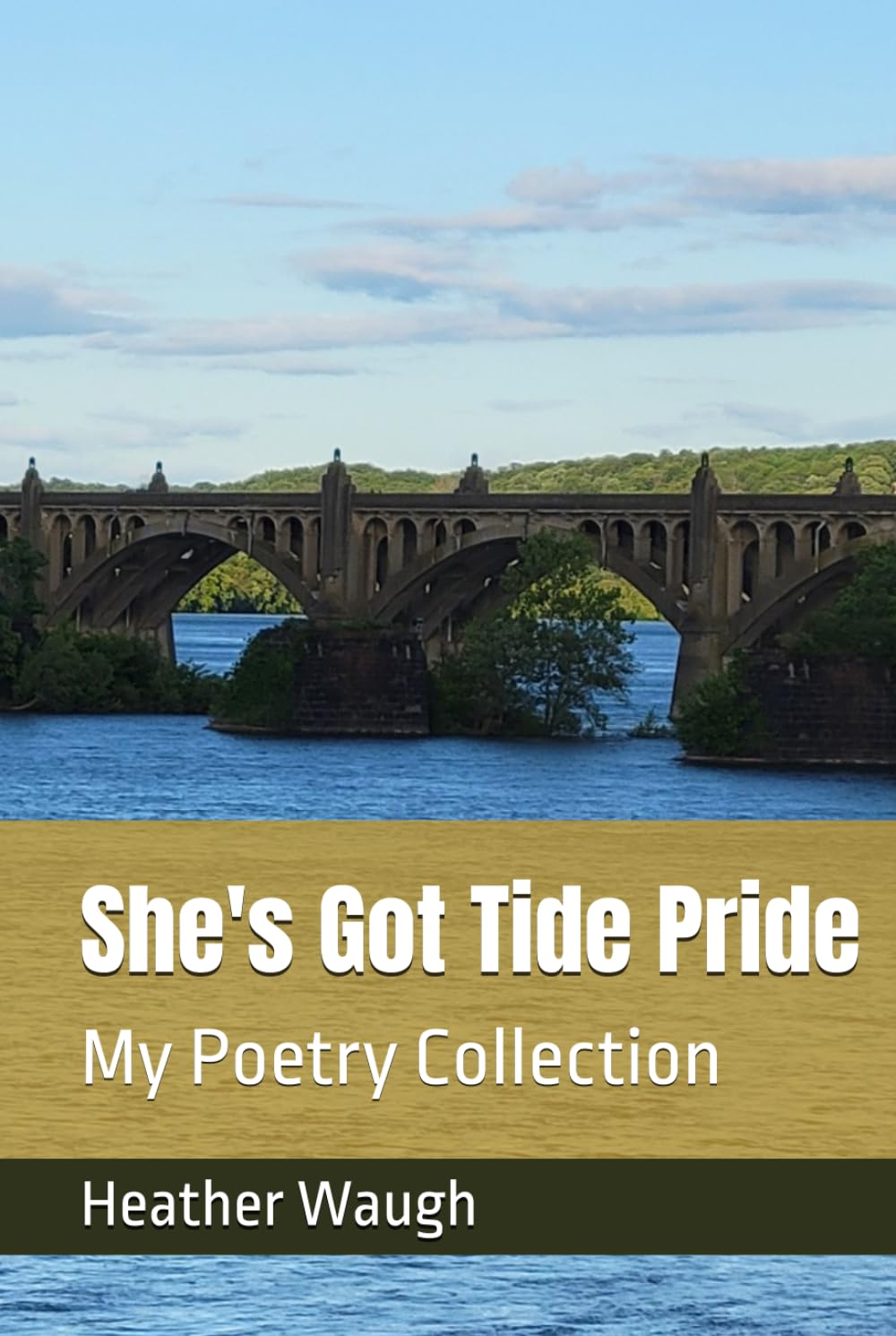 ler totalmente She's Got Tide Pride: A Collection of Original Poetry