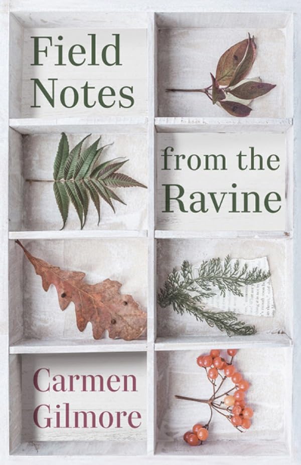 Field Notes from the Ravine (English Edition) baixar o livro de graça