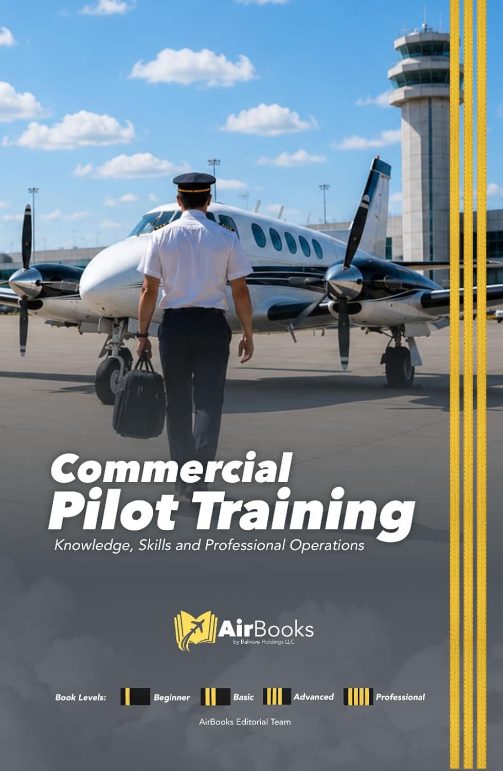 Commercial Pilot Training: Knowledge, Skills and Professional Operations baixar o livro de graça