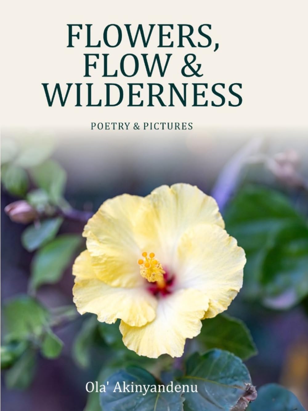 FLOWERS, FLOW & WILDERNESS