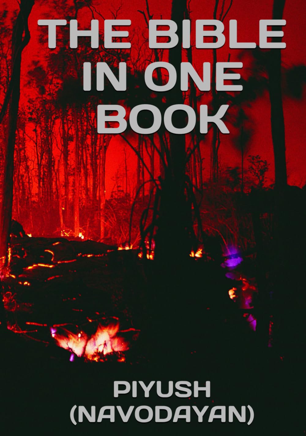 ler totalmente The Bible in one book