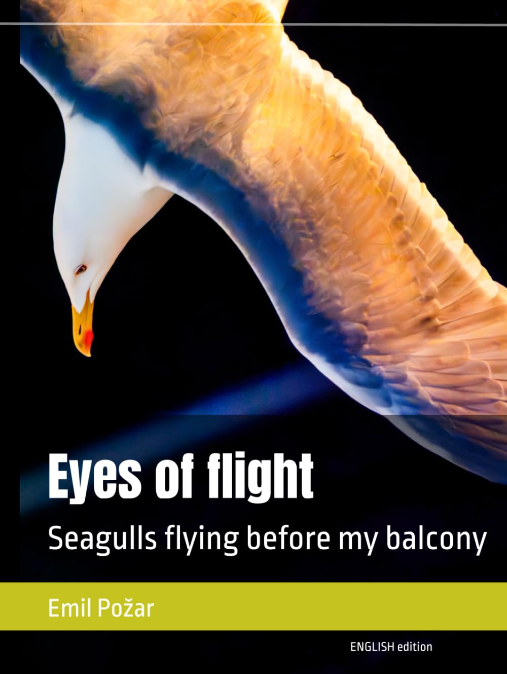 Eyes of flight: Seagulls flying before my balcony baixar o livro de graça