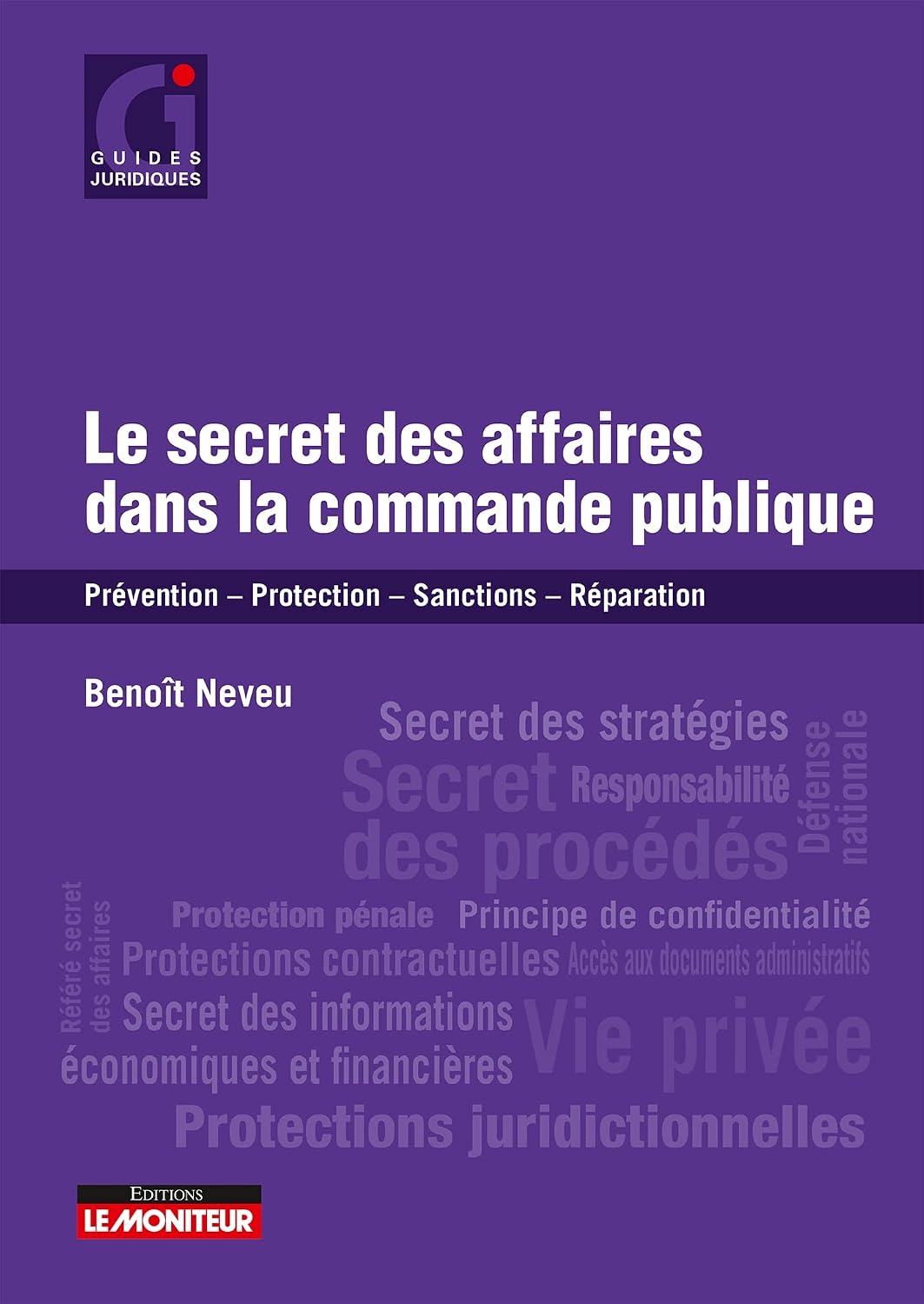 Le secret des affaires dans la commande publique: Prévention - Protection - Sanctions - Réparation (French Edition) baixar o livro de graça