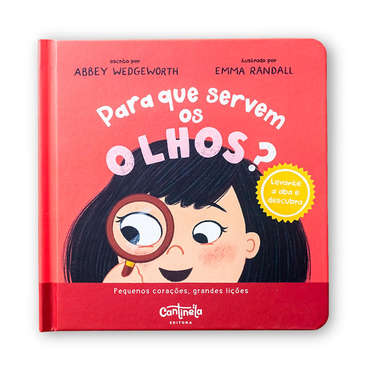 Para que servem os olhos? baixar livro de graça