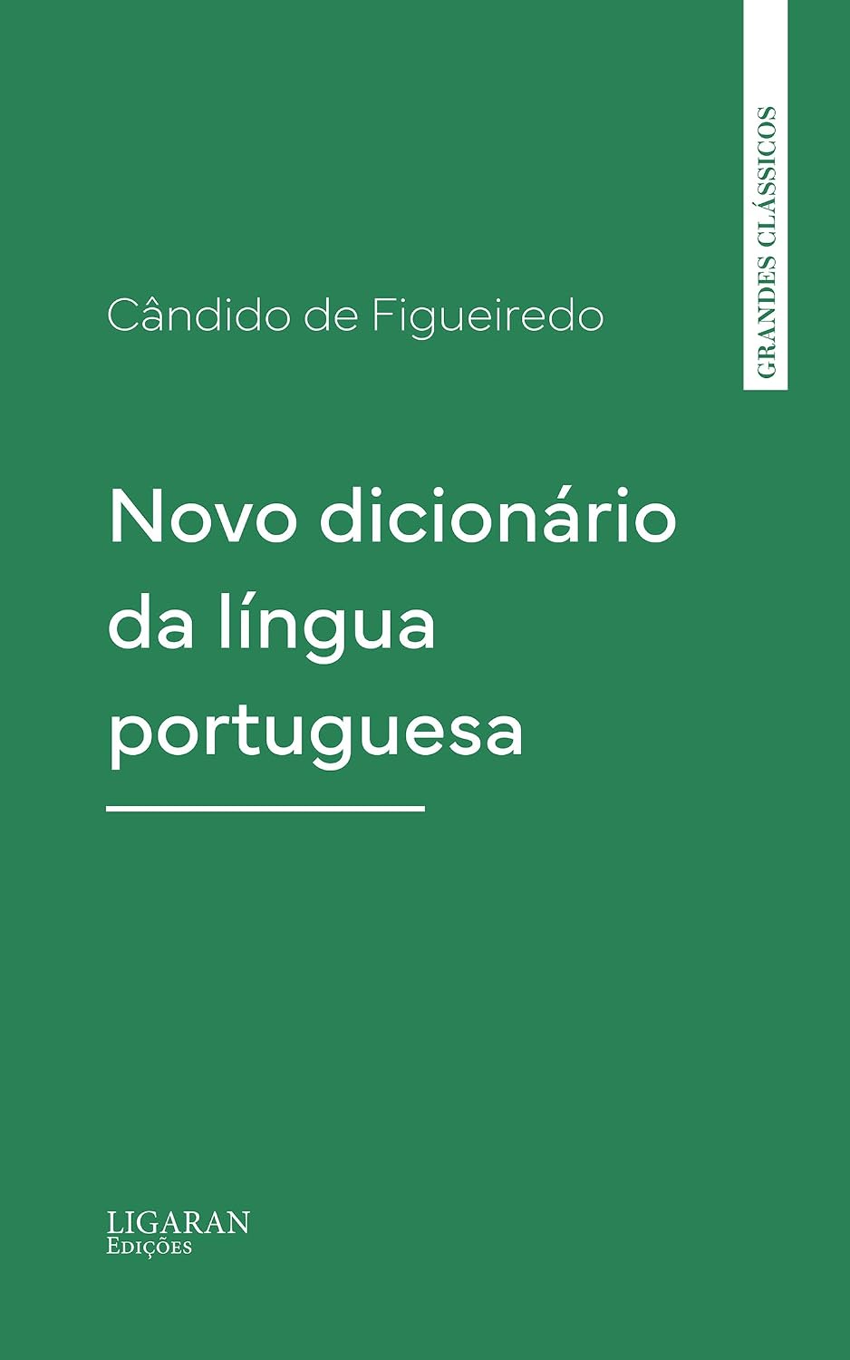 Novo dicionário da língua portuguesa baixar livro de graça
