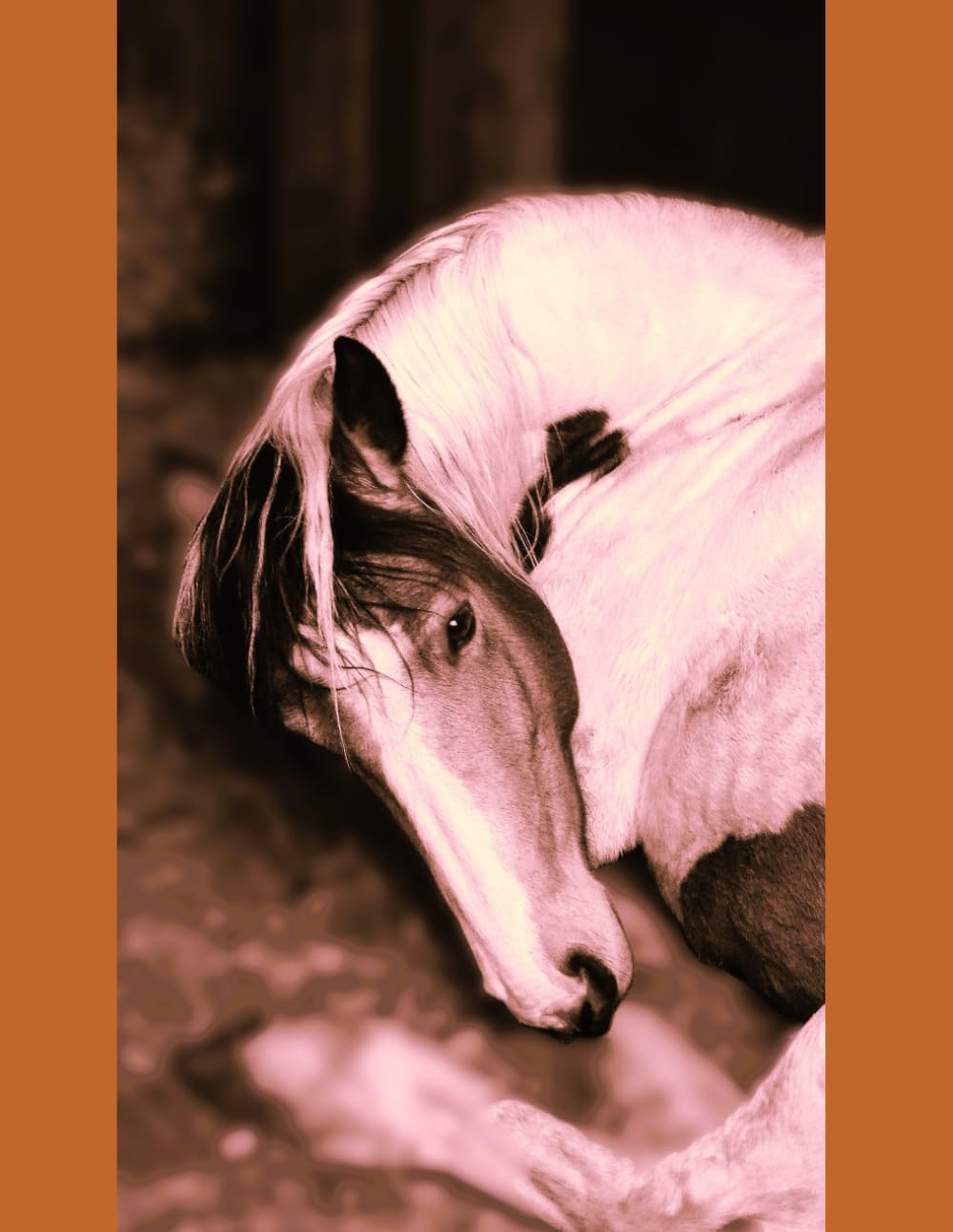 ler totalmente Horse and Pony Journal: Ideal for keeping a record of your riding inspiration, activities and achievements