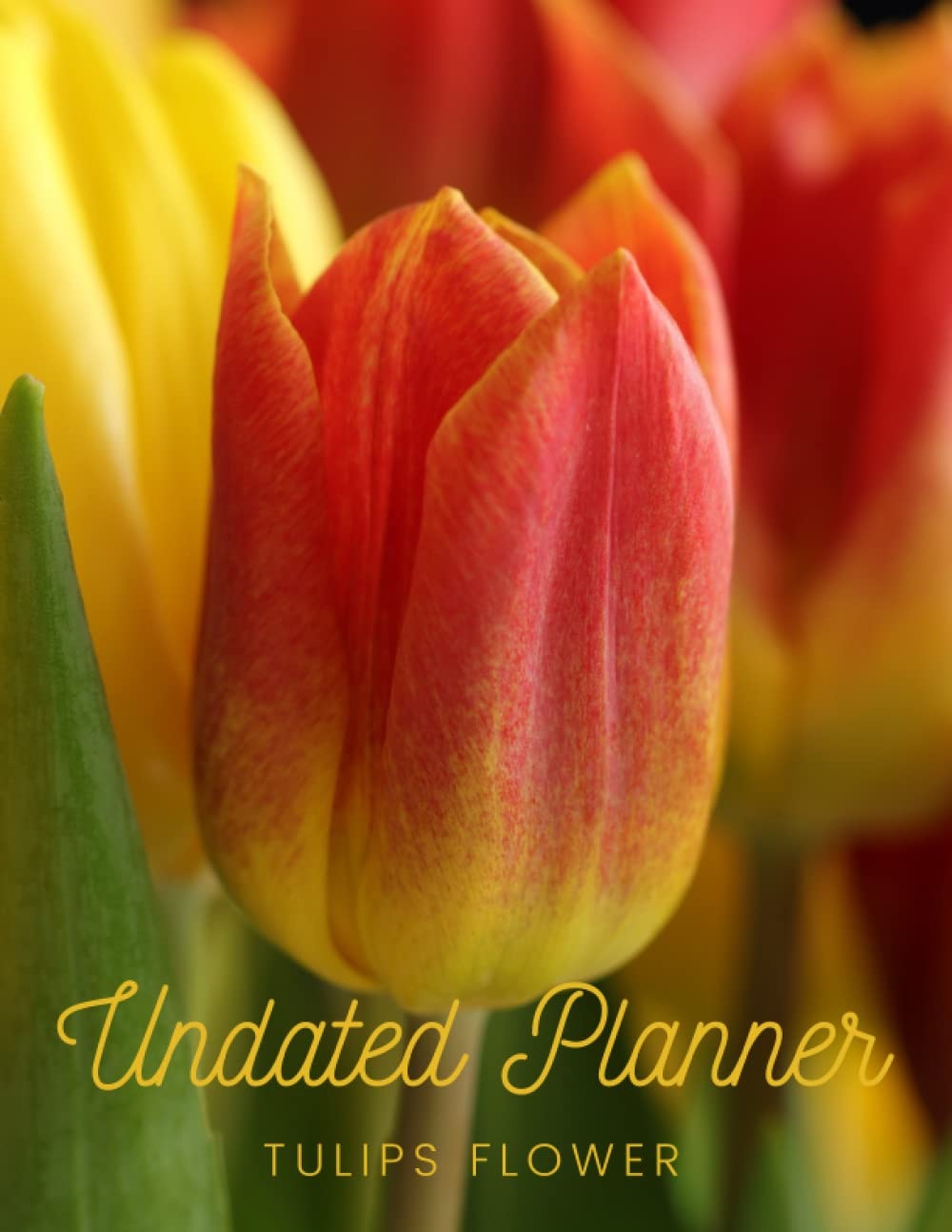 ler totalmente Tulips Flower Undated Planner: The Tulips Flower with 2 years plans and 24 months with Flexible Glossy Cover
