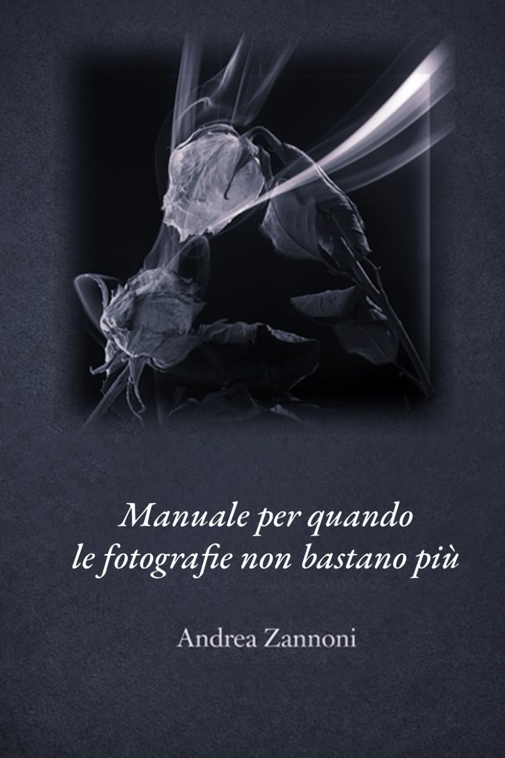 ler totalmente Manuale per quando le fotografie non bastano più (Italian Edition)