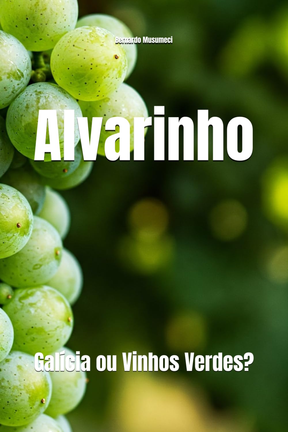 Alvarinho: Galícia ou Vinhos Verdes? (Wines of the World) baixar livro de graça