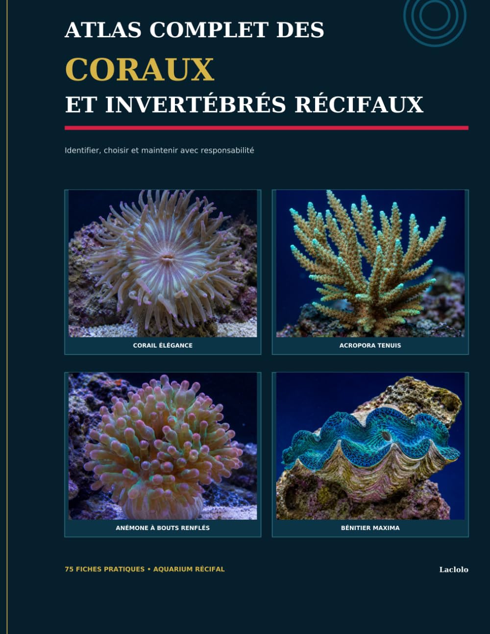 Atlas complet des Coraux et Invertébrés (French Edition) baixar livro de graça