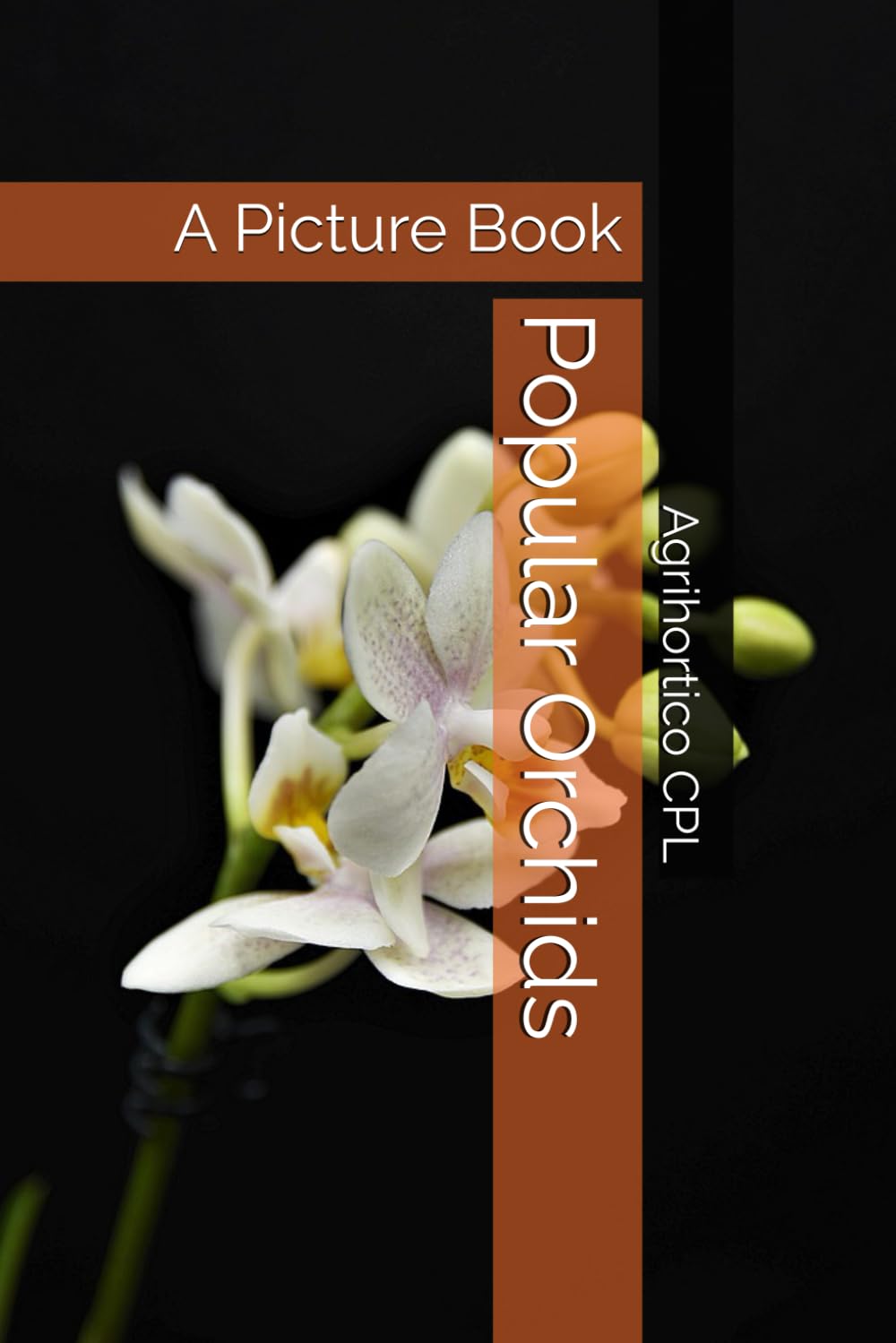 capítulo por capítulo baixar Popular Orchids: A Picture Book