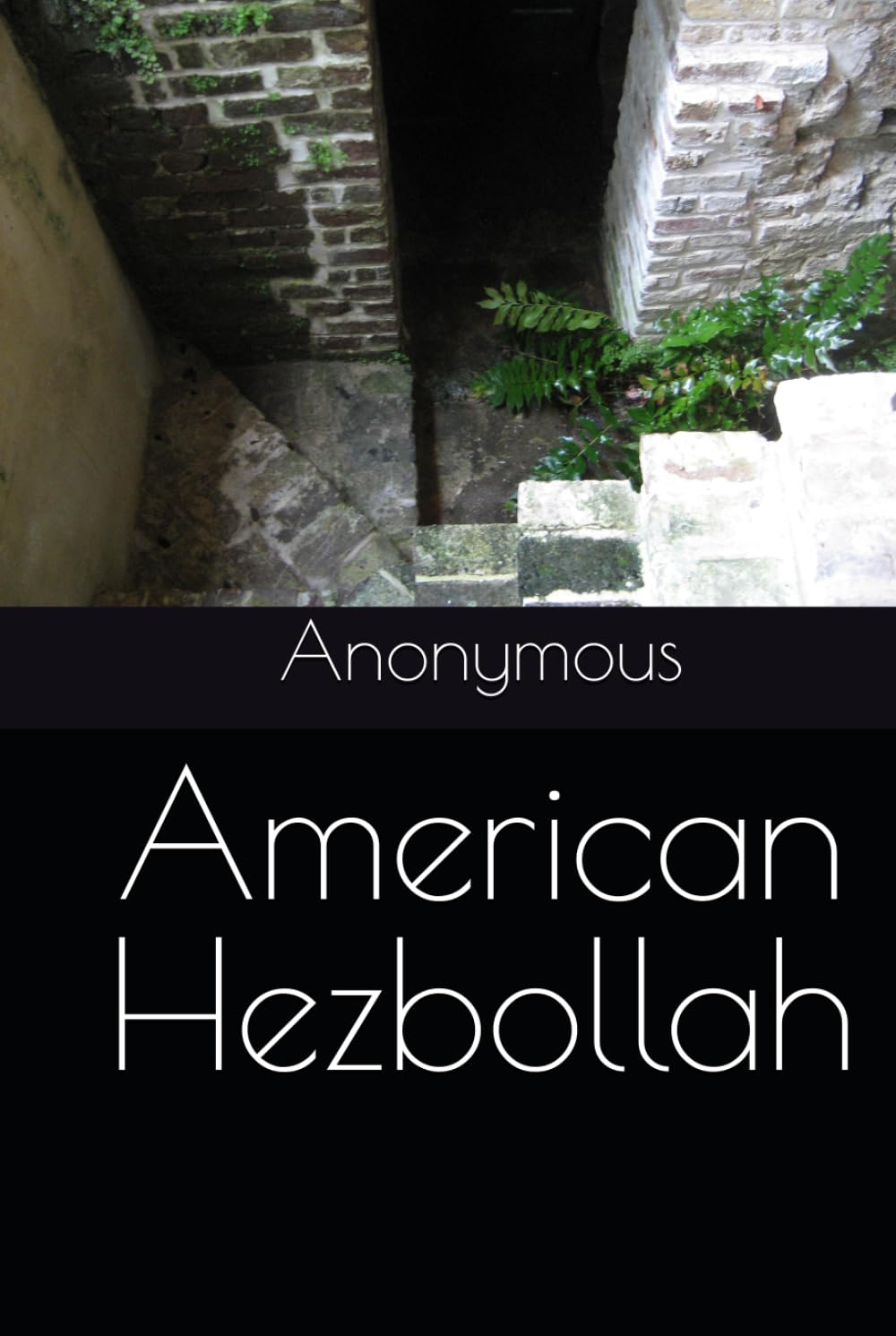 American Hezbollah baixar livro de graça
