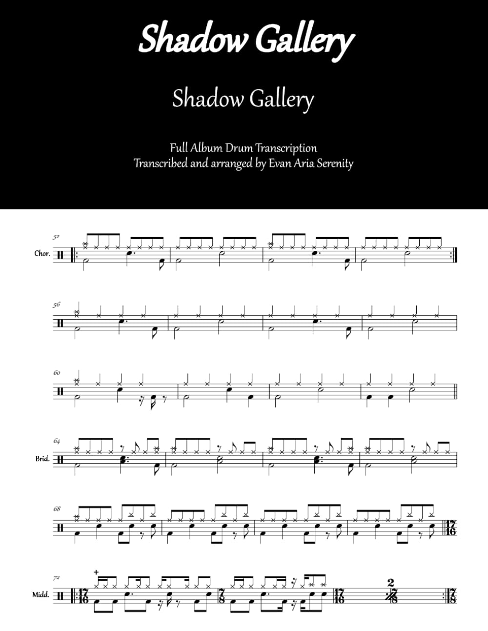 Shadow Gallery - Shadow Gallery: Full Album Drum Transcription (JDS Drum Transcription Books) baixar o livro de graça