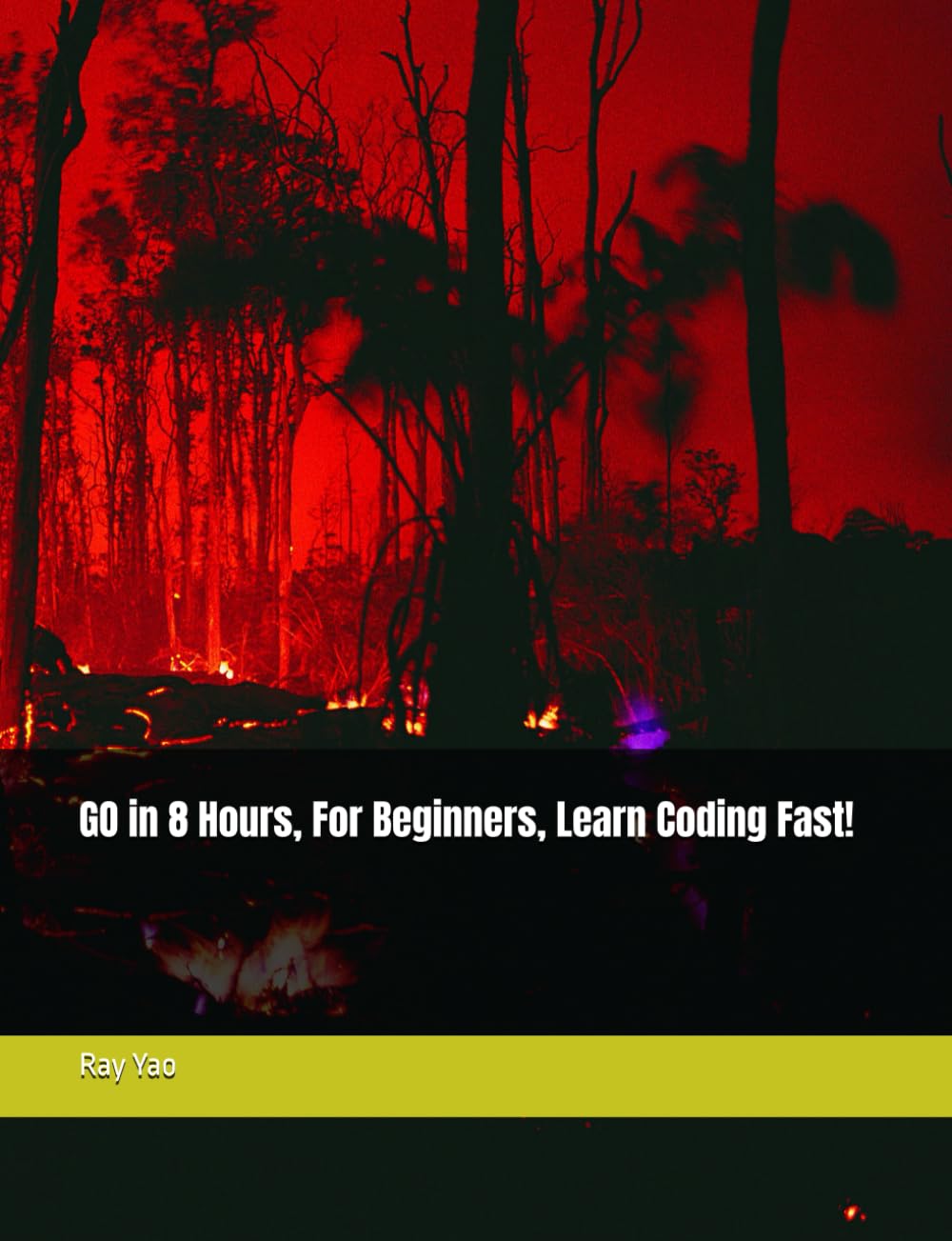 GO in 8 Hours, For Beginners, Learn Coding Fast!