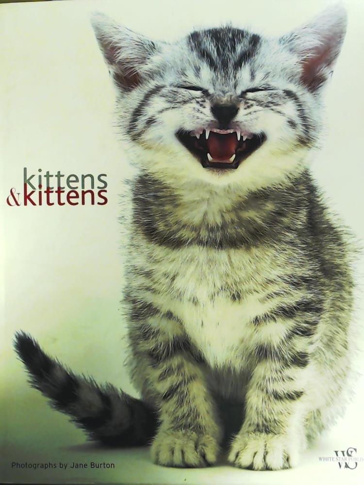 Kittens & Kittens baixar livro de graça